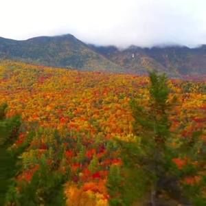 Meet your Posher, Elda